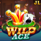 Wild Ace okfun app game